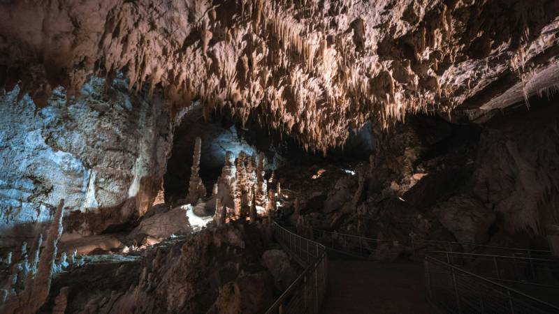 Exploring the stunning crystallized limestone formations in Harrison's Cave, Barbados