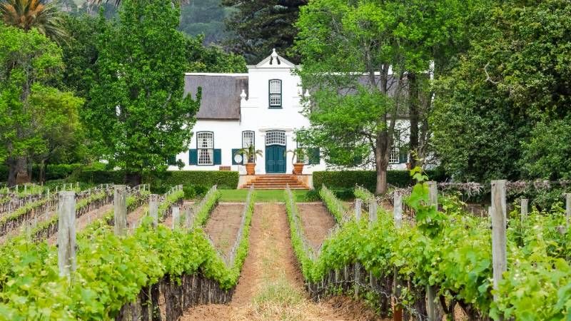 A beautiful vineyard estate in the Cape Winelands near Cape Town