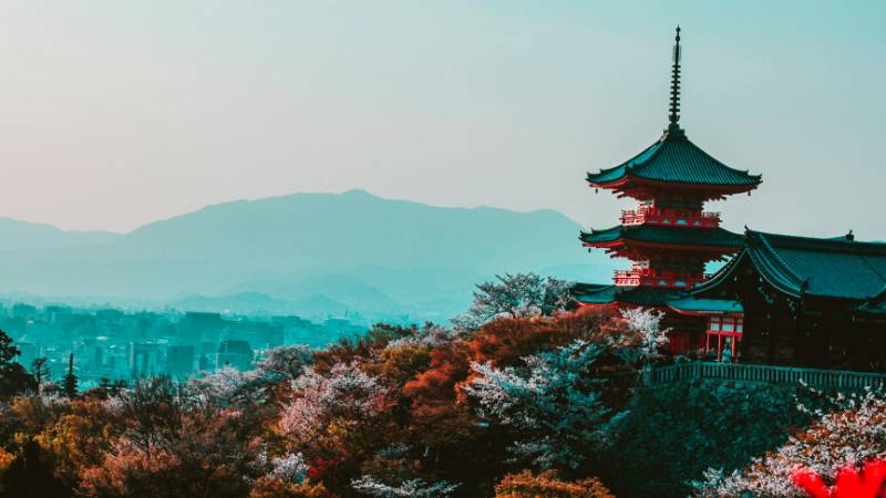 Beautiful cherry blossoms framing a traditional temple in Kyoto during spring