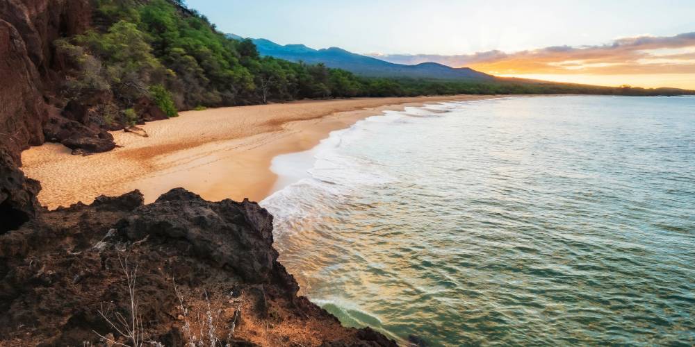 Beautiful Maui beach with palm trees silhouetted against a vibrant sunset