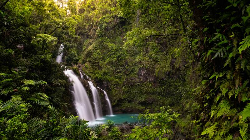 Lush rainforest and a beautiful waterfall along the scenic Road to Hana in Maui