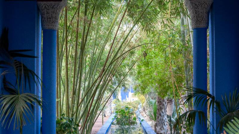 The vibrant cobalt blue of Jardin Majorelle, formerly owned by Yves Saint Laurent, in Marrakech