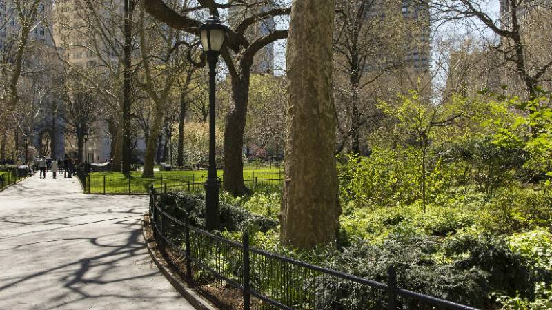 Central Park in autumn with vibrant foliage and city skyline in the background