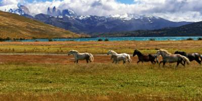 Patagonia Luxury Lodge